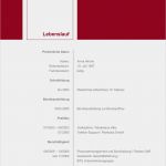 Lebenslauf Vorlage Layout Cool Lebenslauf Layout Download