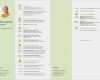 Lebenslauf Vorlage Layout Elegant Lebenslauf Muster Als Vorlage