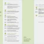Lebenslauf Vorlage Layout Elegant Lebenslauf Muster Als Vorlage