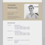 Lebenslauf Vorlage Layout Erstaunlich Bewerbungsmuster Napea Bewerbungsprofi Net