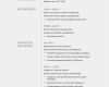 Lebenslauf Vorlage Layout Süß Lebenslauf Muster Für Multimediakünstler