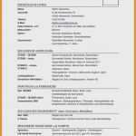 Lebenslauf Vorlage Lehrer Einzigartig 13 Lebenslauf Lehrer Vorlage