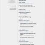 Lebenslauf Vorlage Lehrer Elegant Lebenslauf Muster Für Pfleger