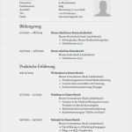 Lebenslauf Vorlage Lehrer Großartig Die Besten 25 Bewerbungsvorlagen Muster Ideen Auf