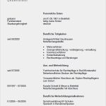 Lebenslauf Vorlage Lehrer Gut Bewerbungsschreiben Muster Bewerbungsschreiben