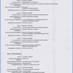 Lebenslauf Vorlage Lehrer Inspiration 21 Lebenslauf Lehrer Muster