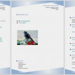 Lebenslauf Vorlage Libreoffice Beste Lebenslauf Kurzbewerbung