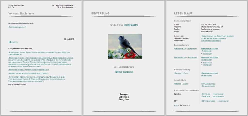 Lebenslauf Vorlage Libreoffice Bewundernswert Bewerbungsvorlagen Für Libreoffice