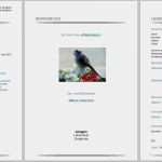 Lebenslauf Vorlage Libreoffice Bewundernswert Bewerbungsvorlagen Für Libreoffice