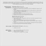 Lebenslauf Vorlage Macbook Elegant 21 Lebenslauf Vorlage Mac