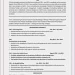 Lebenslauf Vorlage Macbook Luxus Download Lebenslauf Vorlage Resume Word Template Lovely