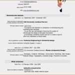 Lebenslauf Vorlage Macbook Wunderbar 5 Lebenslauf Download Vorlagen Mac Vorlagen123 Vorlagen123