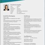 Lebenslauf Vorlage Mit Elternzeit Cool 10 Lebenslauf Mit Elternzeit
