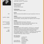 Lebenslauf Vorlage Mit Elternzeit Erstaunlich 10 Lebenslauf Mit Elternzeit