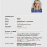 Lebenslauf Vorlage Mit Elternzeit Erstaunlich Lebenslauf Vorlage Mit Kind Gut Lebenslauf Muster