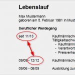 Lebenslauf Vorlage Mit Elternzeit Hübsch Lücken Im Lebenslauf Sinnvoll Füllen Mit Beispiel