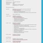 Lebenslauf Vorlage Mit Elternzeit Neu Lebenslauf Beispiele Für Perfekte Bewerbung