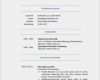 Lebenslauf Vorlage Modern Beste 10 Best Lebenslauf Muster Und Vorlagen Images On Pinterest