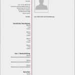 Lebenslauf Vorlage Modern Download Best Of Lebenslauf Vorlagen & Muster Kostenlose Word Vorlage