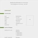 Lebenslauf Vorlage Modern Download Best Of Vorlage 12 Tabellarischer Lebenslauf