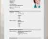 Lebenslauf Vorlage Modern Download Erstaunlich Lebenslauf Vorlage Modern Transition Plan Templates