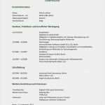 Lebenslauf Vorlage Modern Erstaunlich Lebenslauf Muster