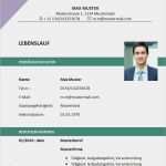 Lebenslauf Vorlage Modern Großartig Lebenslauf Vorlage Zum Download