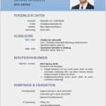 Lebenslauf Vorlage Modern Gut 15 Lebenslauf Vorlage Modern