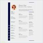 Lebenslauf Vorlage Modern Kostenlos Erstaunlich Erfreulich Lebenslauf Kostenlos Modern Moderner Lebenslauf