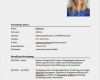 Lebenslauf Vorlage Modern Kostenlos Wunderbar Lebenslauf Muster