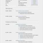 Lebenslauf Vorlage Modern Schön 31 Best Images About Lebenslauf Vorlagen & Muster On