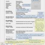 Lebenslauf Vorlage Ohne Anmeldung Beste Infografik Muster Lebenslauf Mit Hinweisen