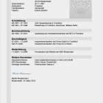 Lebenslauf Vorlage Ohne Anmeldung Einzigartig Muster Lebenslauf Hellgraues Design