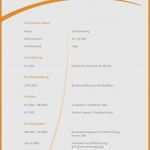 Lebenslauf Vorlage Ohne Anmeldung Süß Vorlage Lebenslauf Word Kostenlos Erstaunlich Lebenslauf