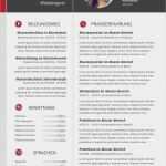 Lebenslauf Vorlage Ohne Registrierung Einzigartig Lebenslauf Querformat