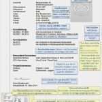 Lebenslauf Vorlage Ohne Registrierung Großartig Muster Lebenslauf Mit Hinweisen