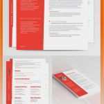 Lebenslauf Vorlage Ohne Registrierung Gut Ähnliche Artikel Wie Lehrer Lebenslauf Lebenslauf Vorlage