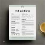 Lebenslauf Vorlage Ohne Registrierung Neu Kreative Lebenslauf Vorlage Und Anschreiben Vorlage Für Word