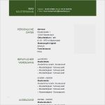 Lebenslauf Vorlage Online Ausfüllen Erstaunlich Lebenslauf 31 Bewerbung