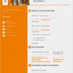 Lebenslauf Vorlage Online Ausfüllen Fabelhaft Lebenslauf Vorlagen Kostenlos Modern & Professionell 2019