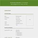 Lebenslauf Vorlage Online Ausfüllen Fabelhaft Vorlage 20 Tabellarischer Lebenslauf