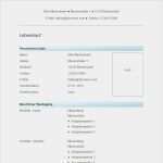 Lebenslauf Vorlage Online Ausfüllen Fabelhaft Vorlage 44 Tabellarischer Lebenslauf