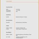 Lebenslauf Vorlage Online Ausfüllen Genial 12 Undergraduate Tabellarischer Lebenslauf Line