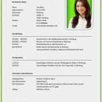 Lebenslauf Vorlage Online Einzigartig Lebenslauf Muster Beispiel Muster Lebenslauf Vorlage