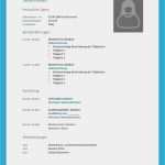 Lebenslauf Vorlage Online Erstaunlich Lebenslauf Vorlage Klassisch Kostenloser Download