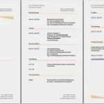 Lebenslauf Vorlage Online Erstaunlich Lebenslauf Vorlage Line Best Lebenslauf Vorlage Mfa