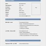 Lebenslauf Vorlage Online Kostenlos Angenehm Lebenslauf Muster & Vorlagen