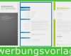 Lebenslauf Vorlage Online Kostenlos Cool Tabellarischer Lebenslauf Mit Anschreiben Als Vorlage
