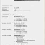 Lebenslauf Vorlage Openoffice Kostenlos Best Of Lebenslauf Vorlage Openoffice Kostenlos – Vorlagen 1001