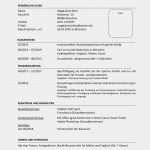 Lebenslauf Vorlage Openoffice Ohne Foto Beste Lebenslauf Beispiel